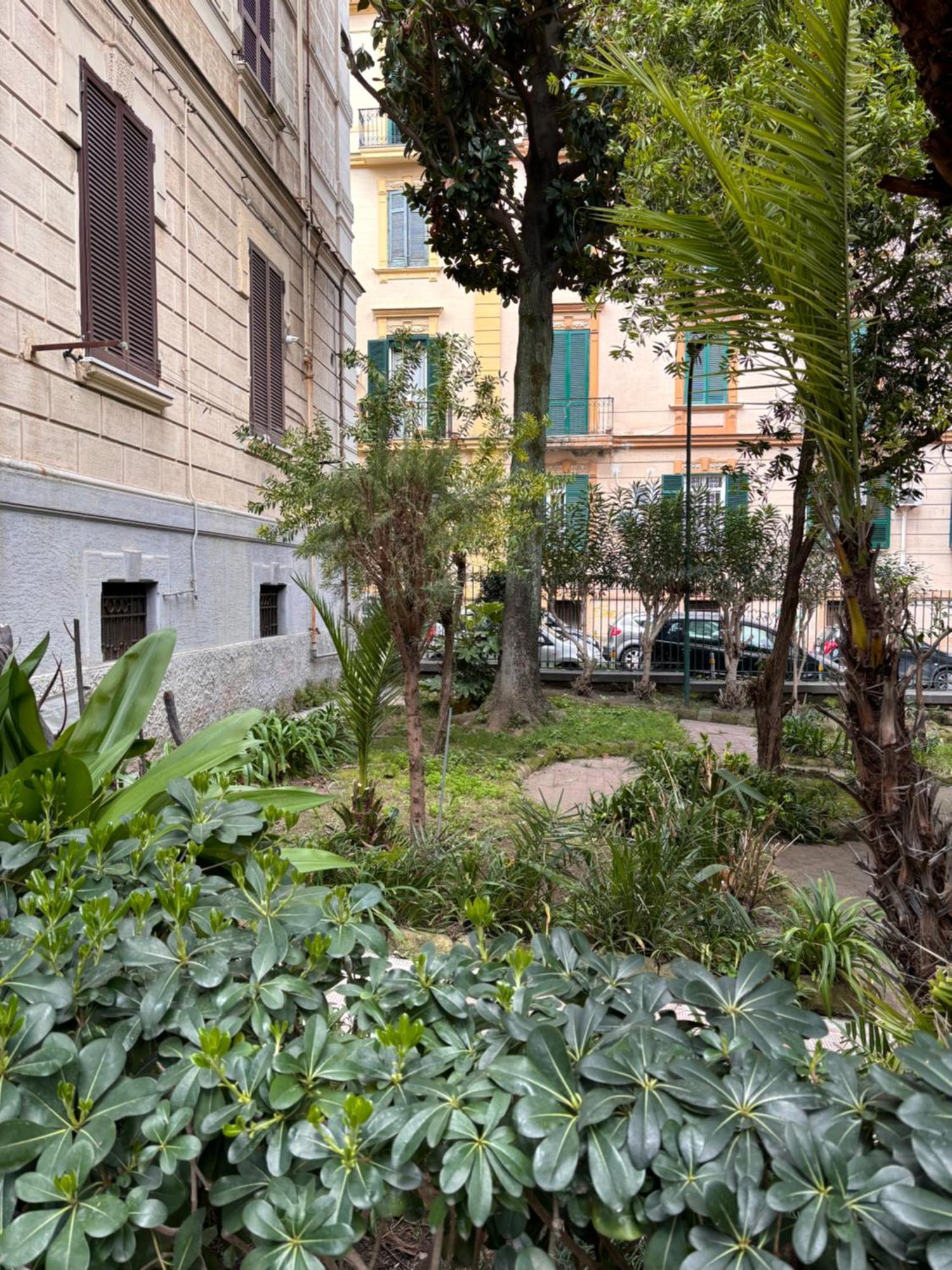 La Tela Di Elena Affittacamere Napoli