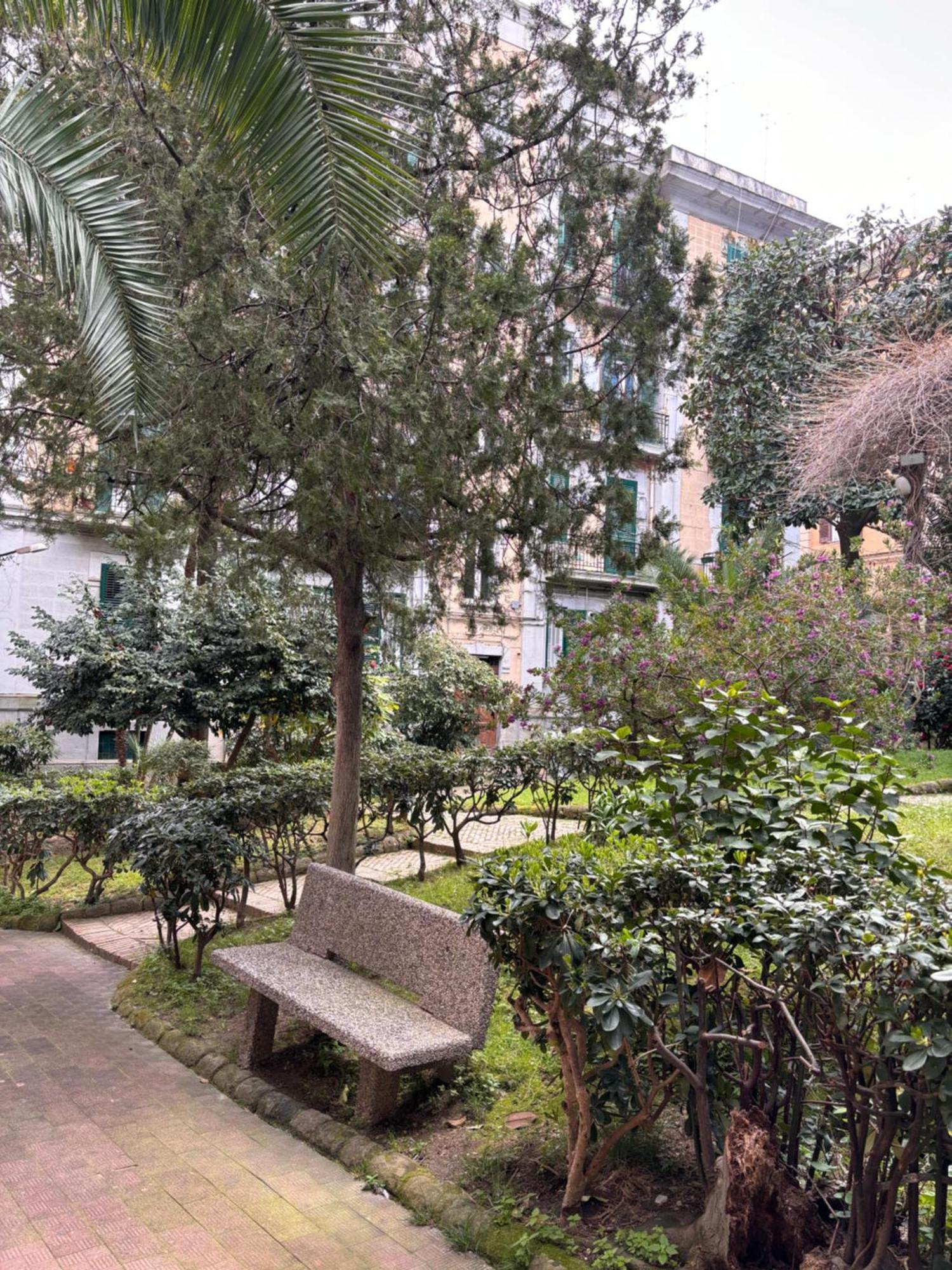 Affittacamere La Tela Di Elena